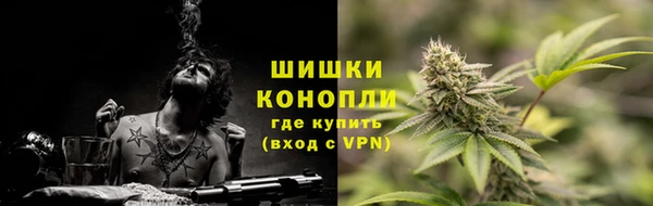 шишки Баксан