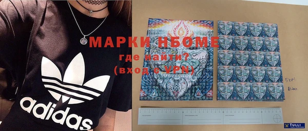 шишки Баксан