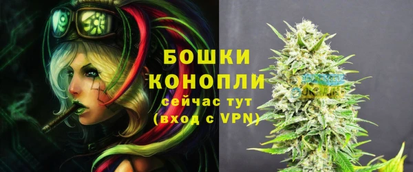 стаф Балахна