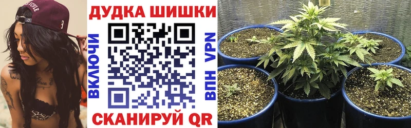 сайты даркнета как зайти  закладки  Обоянь  Канабис THC 21% 